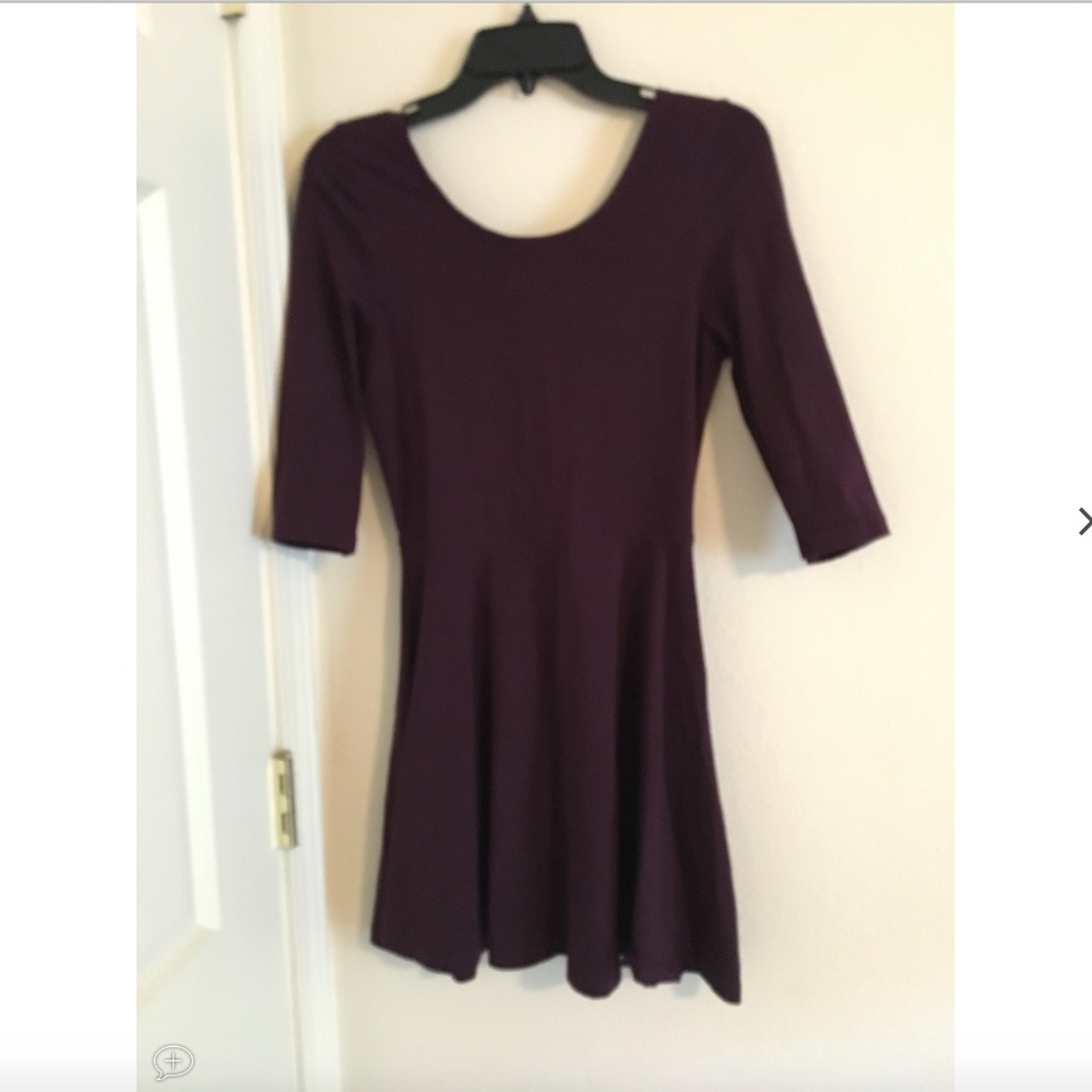 Express Maroon Skater Dress